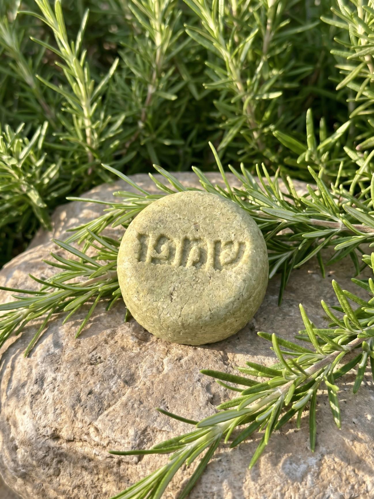 שמפו מוצק לחיזוק וטיפוח השיער
